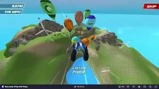 Base Jump Wing Suit Flying