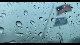 Hurricane Force Winds - Freeland, MD - August 7th, 2023