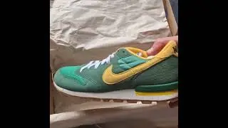 Nike Air Epic retro Oregon
