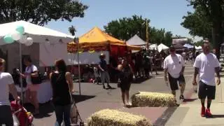2016 Apricot Fiesta