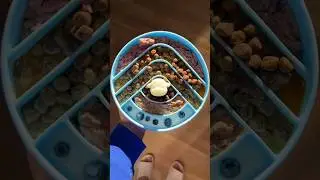 Идеи для медленного кормления собак!