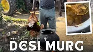 Village Style Desi Murga Cooking. 3kg Cock 🐓 Cooking in Farmhouse 🥳 ​⁠Easy recipe to @RanveerBrar