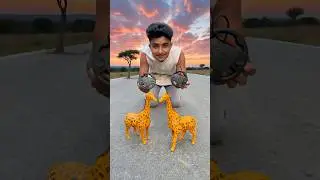 Remote Control 2 Ta Horse And 2Ta Giraffe 🔥