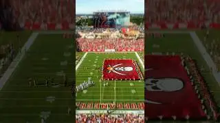 17 seconds of pure cinema in Tampa Bay 🏟️ #tampabay #cinema #timelapse #buccaneers #nfl #football