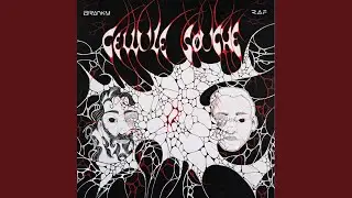 Cellule souche
