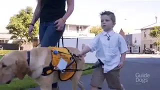 Autism Assistance Dog training with Lisa and Vespa