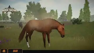 Breeding  Horses In Rival Stars Horse Racing @BetaEtaDelota2008