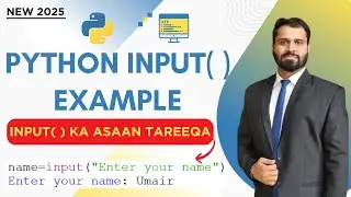 Python input() Example Explained LIVE | Step-by-Step for Beginner 2025