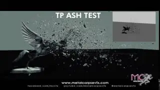 Thinking Particle Ash Test - MC VFX