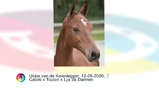 Ukkie van de Keienlegger
