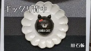 【胆石飯】　ギックリ背中　【手術をするまであと○○日】