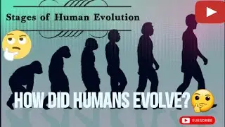 How did humans evolve?|Stages of Human Evolution|Special series Video1| #humanevolution #knowledge