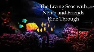 The Living Seas with Nemo and Friends Ride Through Walt Disney World Epcot