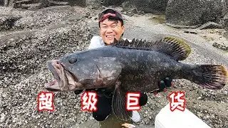 連續打窩13天的600平大坑，引來7斤超大值錢巨貨，阿竈直呼發財了