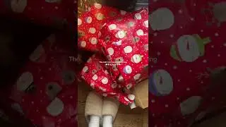 Ling and awaited ❄️☃️🎄 #christmas #xmas #wintervibes #christmastok #wintervibes #xmasvibes