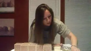 Kathleen Connors-Brady / lesson video math static addition