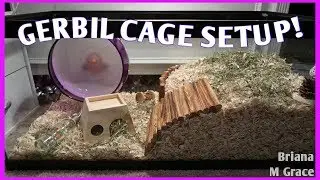 SETTING UP MY GERBIL CAGE! | Briana M Grace