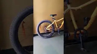 Raleigh big sam bicycle