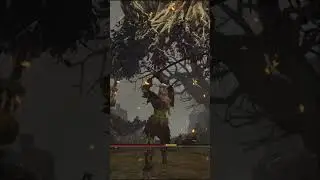 О боже, их двое! #eldenring #fromsoftware #randomizer #seamlesscoop #funnymoments #gaming #shorts