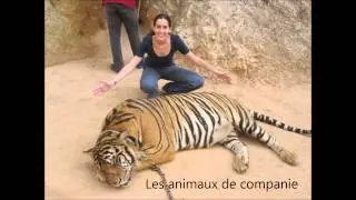 Loisirs Encheres SANDRA Meilleur job de France