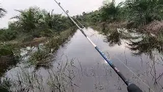 SPOTNYA MULAI SURUT