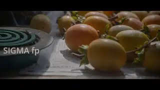 kaki fruit /SIGMA fp CinemaDNG 12bit RAW/film look