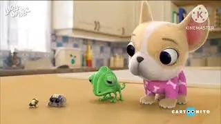Lucas The Spider: Big Jumping Spider And Credits Remake Onscreen Cartoonito