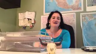 Three Reasons to Use an Dallas Apartment Locator
