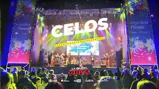 CELOS | CUARTETO | LA BANDA DURA | 2021
