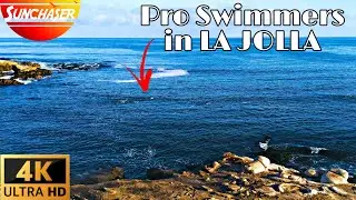 Best places to visit in CALIFORNIA - 4K 🌊 Marine Activities in the PCH