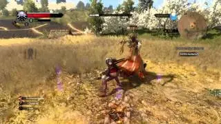 The Witcher 3: How to Kill the White Lady on Death's March Difficulty Tutorial/Let's Play
