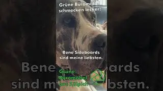 Leckere Deals finden Sie bei Gr&uuml;ne B&uuml;rom&ouml;bel in Z&uuml;lpich!
