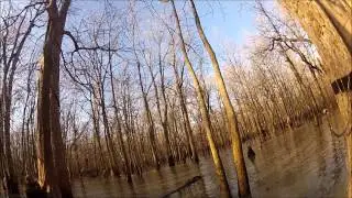 2013 Arkansas Green Timber Duck Hunting!! Running the Hole & Mallards in your Face!!