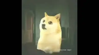 Cheems Dog Funny Video | #shorts  #cheemsdog #cheemsmemes