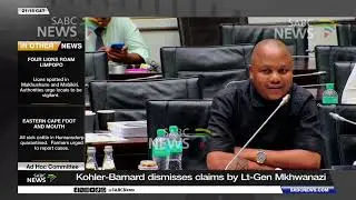 Ad Hoc Committee | Kohler-Barnard dismisses claims by Lt-Gen Mkhwanazi