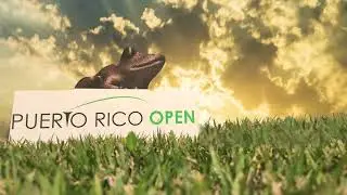 3 8 25 PGA Puerto Rico frog tee marker timelapse enhancement WITH audio
