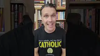 Why do Catholics call the Pope Holy Father? (Blasphemy?)