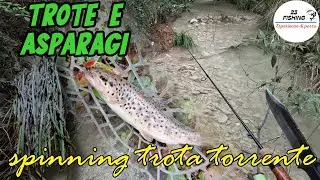 Sorprese nel Bosco: un bel Torrente, Trote e Asparagi selvatici !