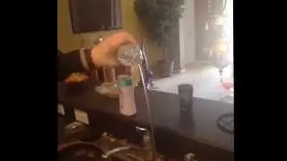 Reverse Video