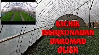 Kichik issiqxonadan yaxshi daromad olish mumkin