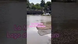 Trabajos de la Secretar&iacute;a de Marina
