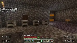 Minecraft, I Need A Hero