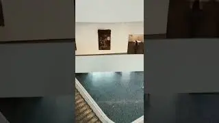 Museum of Fine Art Houston