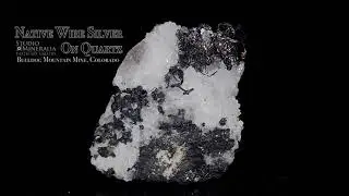 One Inch Tall Native Silver on Quartz - Bulldog Mountain Mine, Colorado - Studio Mineralia