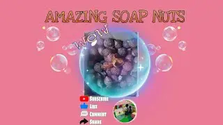 ✨AMAZING SOAP NUTS ✨