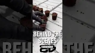🧬 Selection Is Everything 🌱 Planting Seedlings in Coco | Elite Fast Buds Genetics 🔬