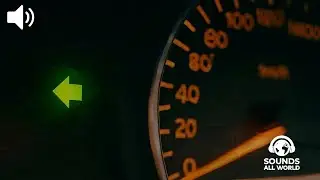 Sonido de intermitente de coche 🚗 | 30 Min Car Turn Signal Sound