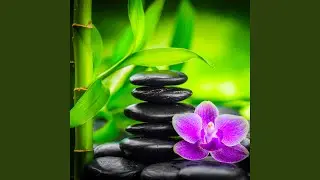Mindfulness (Nature Sounds)
