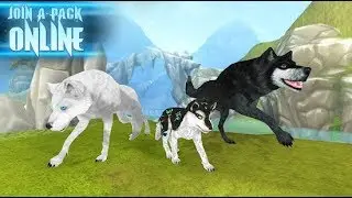 Wolf: The Evolution - Online RPG Android Gameplay Tutorial HD (By Foxie Ventures)
