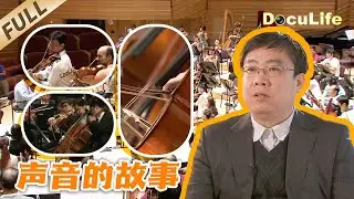 《声音的故事》耗时5年打造上海“声音殿堂”！让26000吨重音乐厅悬浮的设计避开地铁干扰，创中国首例【DocuLife-SMG真实传媒】
